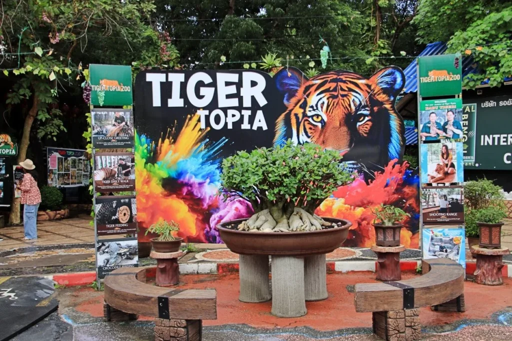 Tiger Topia สวนเสือศรีราชา พร้อมภาพวาดเสือโคร่ง