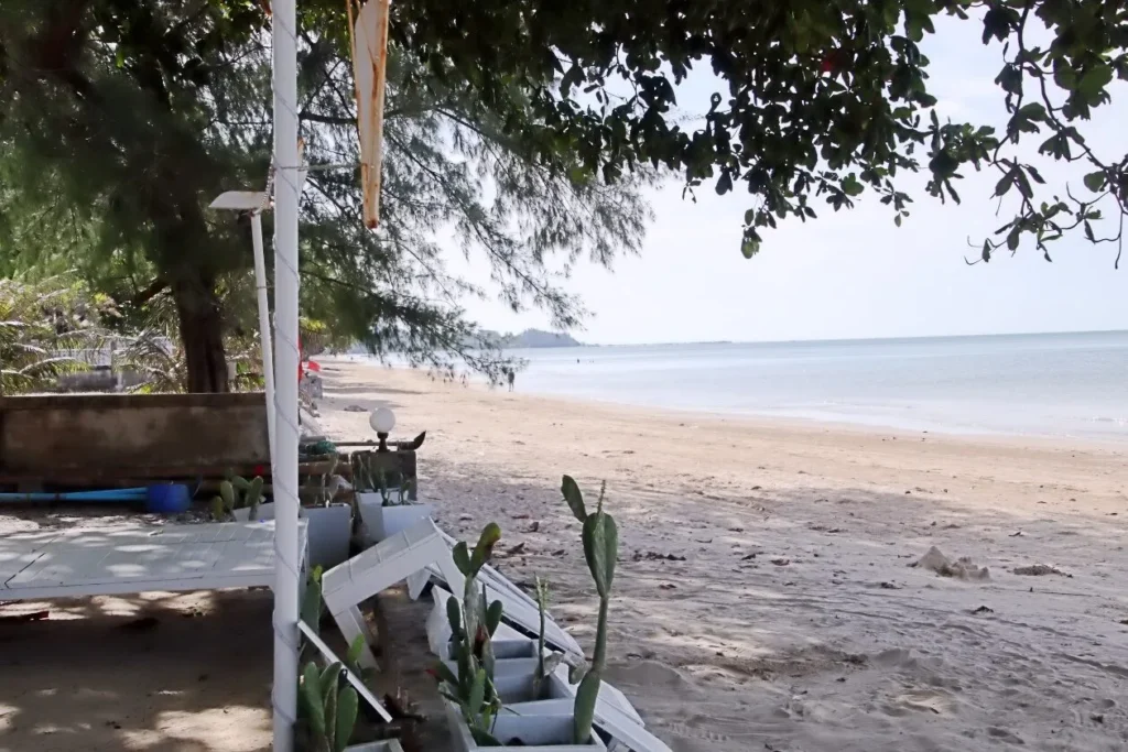 ชายหาดเจ้าหลาว จังหวัดจันทบุรี แนวหาดทรายกว้าง น้ำทะเลสงบ มีต้นสนเรียงรายและวิวภูเขาไกล ๆ ริมทะเล