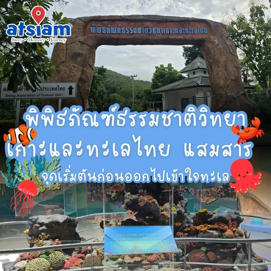พิพิธภัณฑ์ธรรมชาติวิทยาเกาะและทะเลไทย แสมสาร จุดเริ่มต้นก่อนออกไปเข้าใจทะเล