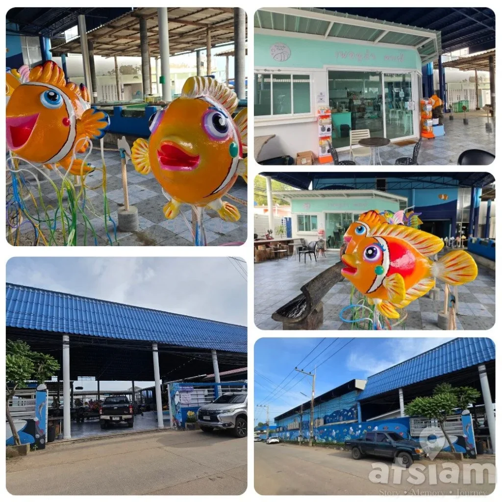 Percula Farm ฟาร์มปลาการ์ตูน แสมสาร เรียนรู้โลกใต้ทะเลแบบใกล้ชิด