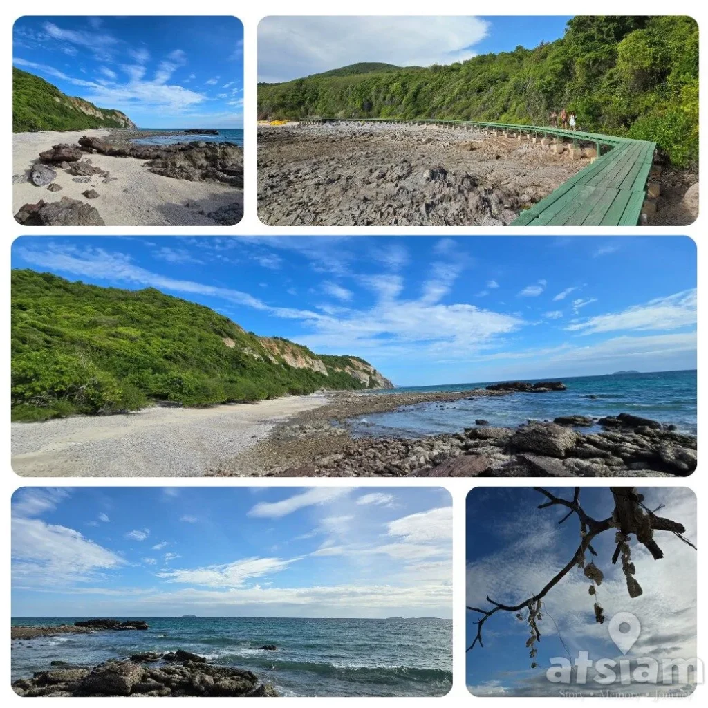 หาดแสม เกาะล้าน หาดยาว มุมถ่ายรูปเยอะ มีทั้งสะพานเขียวและถ้ำลับ