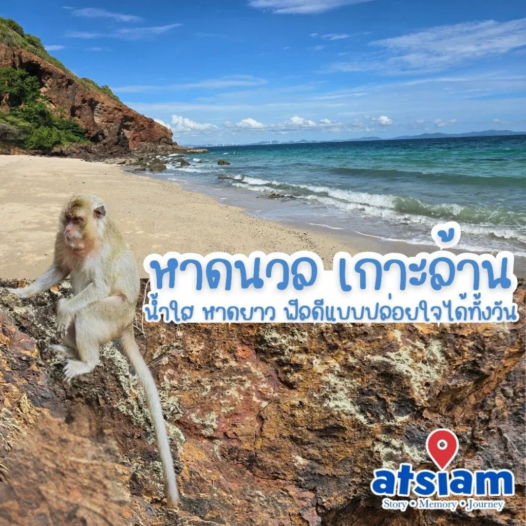 หาดนวล เกาะล้าน น้ำใส หาดยาว ฟีลดีแบบปล่อยใจได้ทั้งวัน