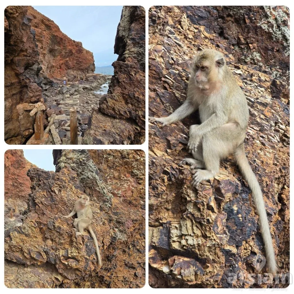 หาดนวล เกาะล้าน น้ำใส หาดยาว ฟีลดีแบบปล่อยใจได้ทั้งวัน