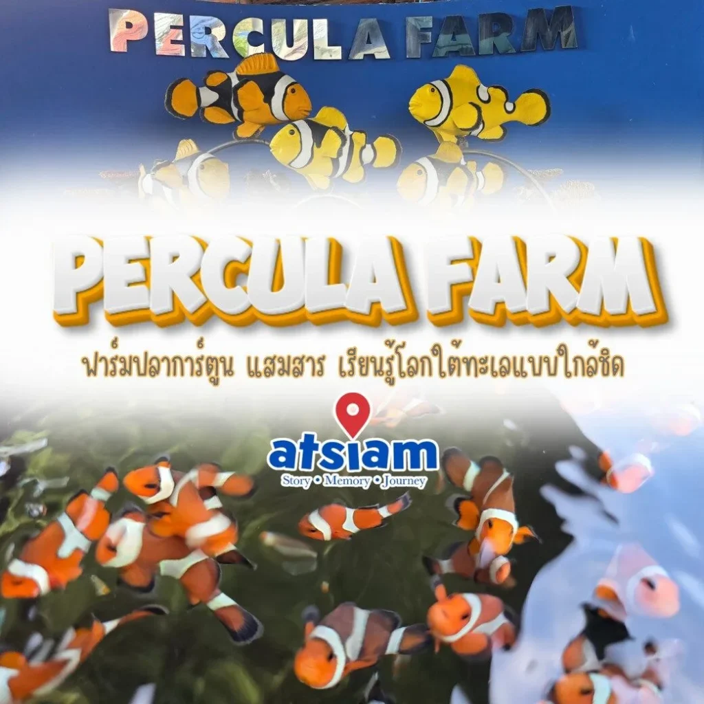 Percula Farm ฟาร์มปลาการ์ตูน แสมสาร เรียนรู้โลกใต้ทะเลแบบใกล้ชิด