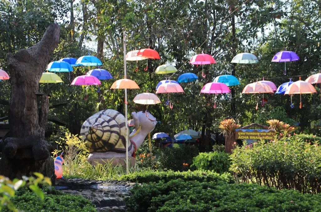 โซนสวนหอยทากขนาดใหญ่ Acha Snail Park ภายในเอเดนฟาร์ม นครนายก พร้อมร่มหลากสีแขวนเหนือศีรษะ