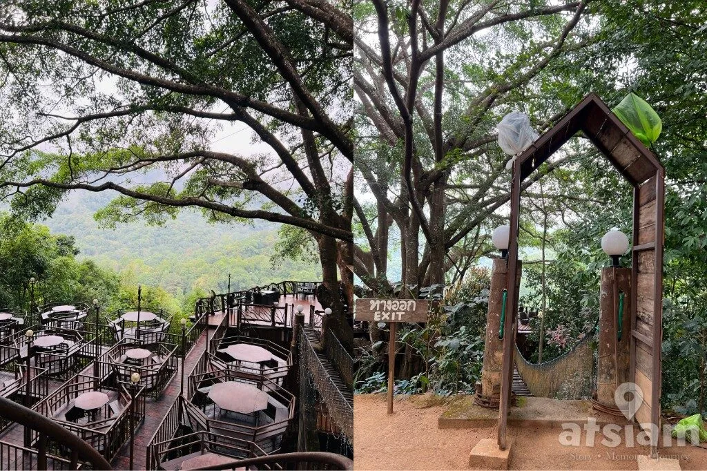 The Giant Chiang Mai แม่ลาย คาเฟ่บ้านต้นไม้กลางป่า เชียงใหม่ วิวเขียวสวยตลอดปี