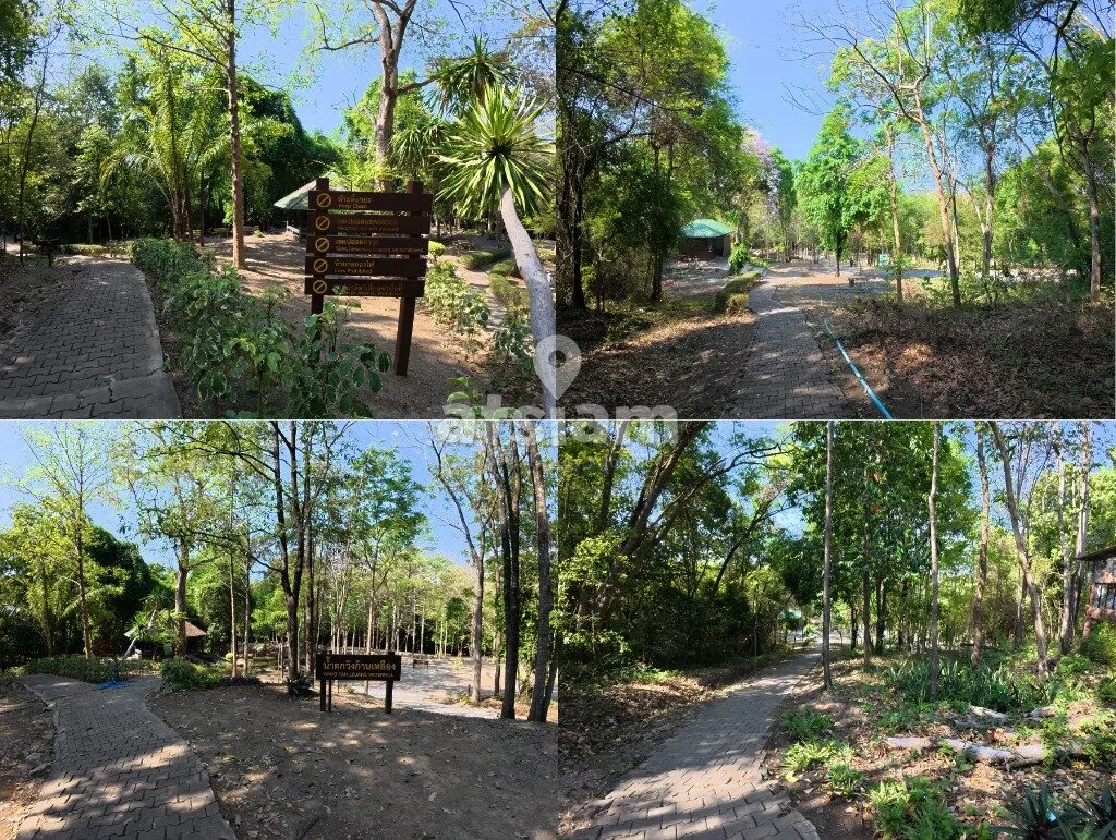 สวนรุกขชาติวังก้านเหลือง ลพบุรี - สัมผัสน้ำตกสีมรกตจากตาน้ำธรรมชาติ โอเอซิสแห่งความชุ่มฉ่ำที่เที่ยวได้ตลอดปี