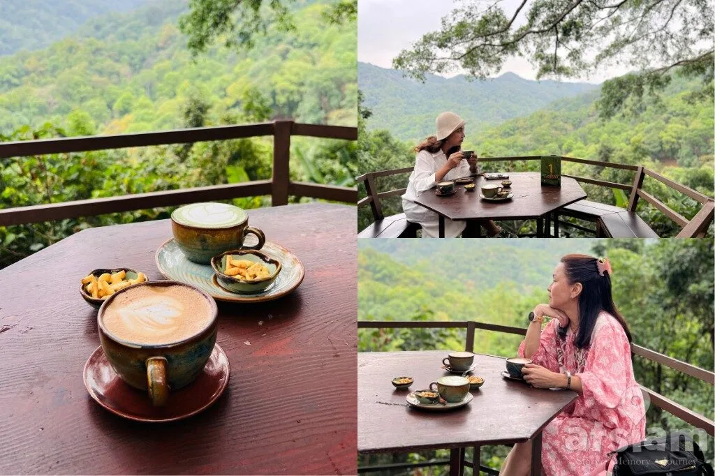 The Giant Chiang Mai แม่ลาย คาเฟ่บ้านต้นไม้กลางป่า เชียงใหม่ วิวเขียวสวยตลอดปี