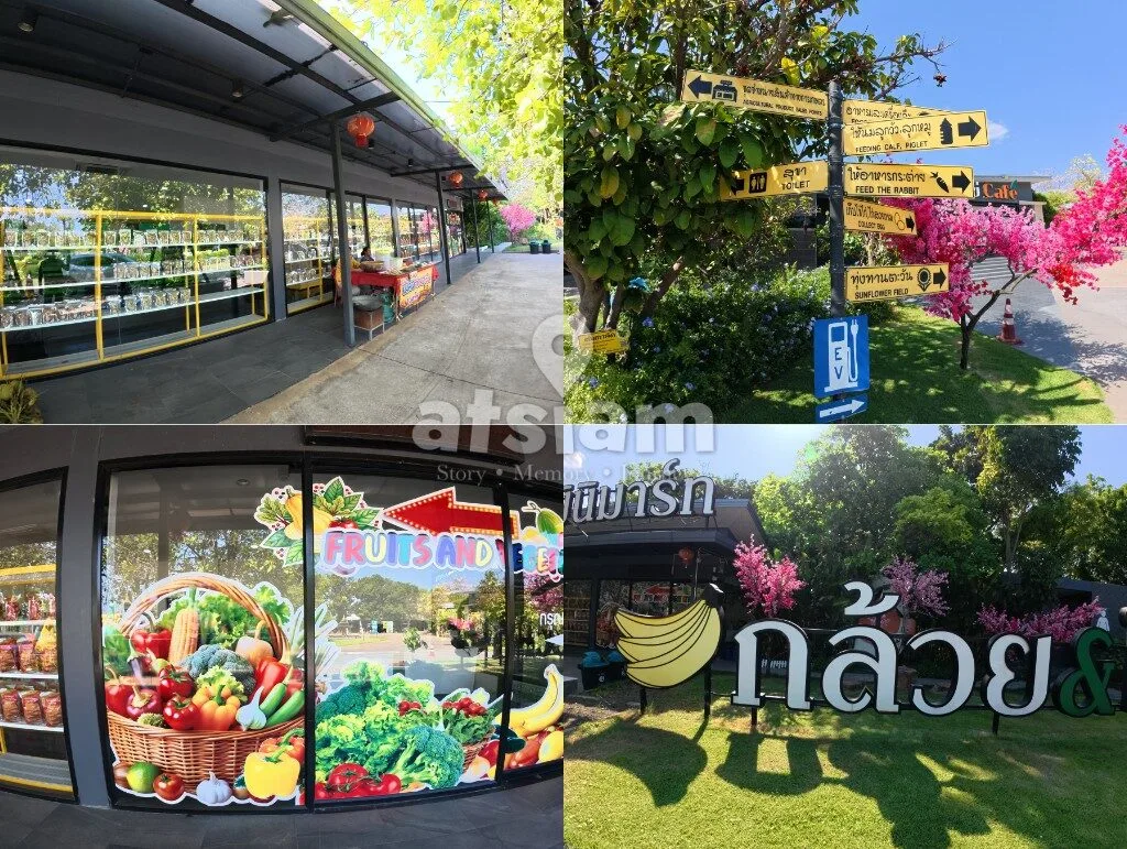 บ้านกล้วย & ไข่ Cafe ลพบุรี คาเฟ่ฟาร์มริมทางที่ซ่อนโลกอีกใบไว้ข้างใน