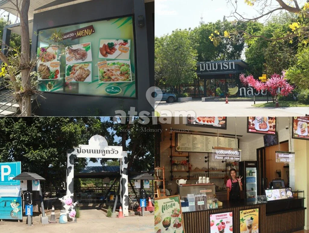 บ้านกล้วย & ไข่ Cafe ลพบุรี คาเฟ่ฟาร์มริมทางที่ซ่อนโลกอีกใบไว้ข้างใน