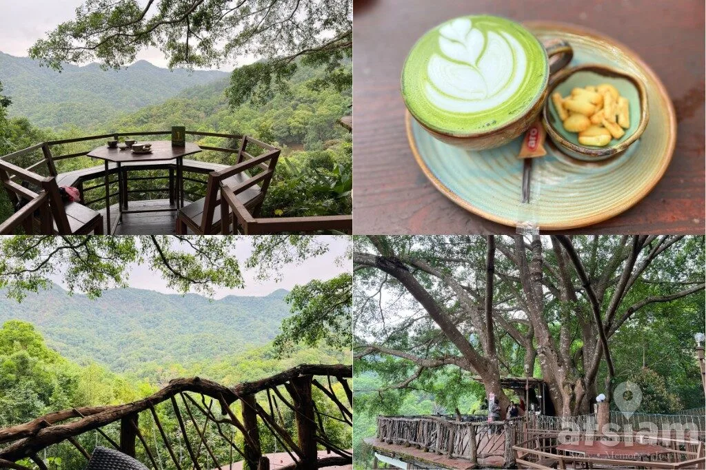 The Giant Chiang Mai แม่ลาย คาเฟ่บ้านต้นไม้กลางป่า เชียงใหม่ วิวเขียวสวยตลอดปี