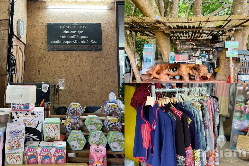 The Giant Chiang Mai แม่ลาย คาเฟ่บ้านต้นไม้กลางป่า เชียงใหม่ วิวเขียวสวยตลอดปี