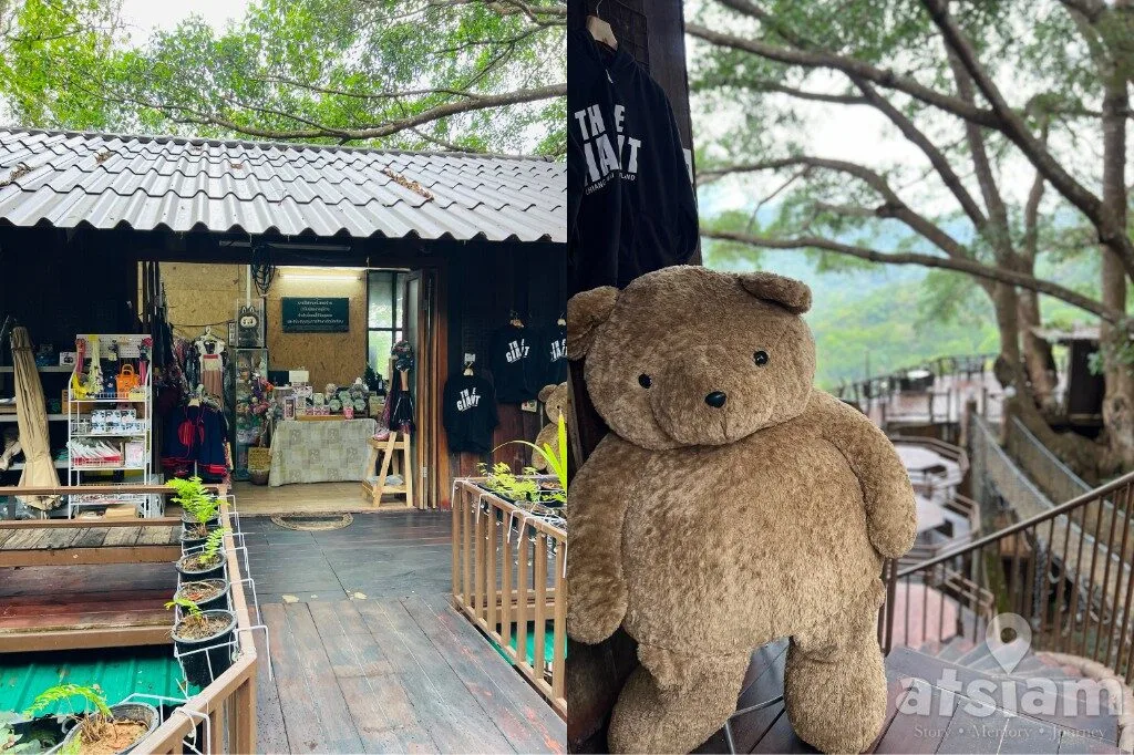 The Giant Chiang Mai แม่ลาย คาเฟ่บ้านต้นไม้กลางป่า เชียงใหม่ วิวเขียวสวยตลอดปี