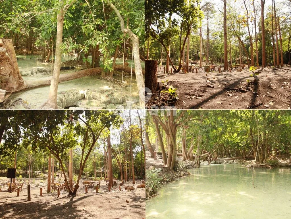 สวนรุกขชาติวังก้านเหลือง ลพบุรี - สัมผัสน้ำตกสีมรกตจากตาน้ำธรรมชาติ โอเอซิสแห่งความชุ่มฉ่ำที่เที่ยวได้ตลอดปี