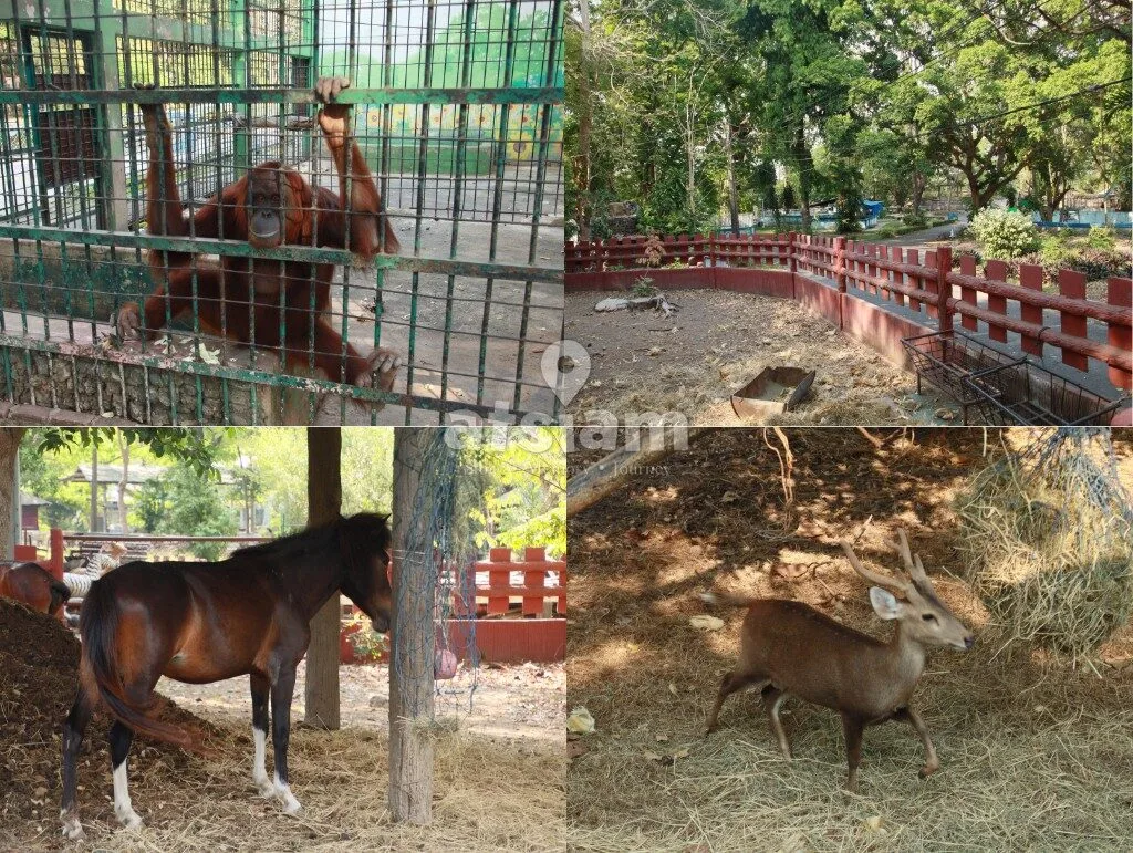 สวนสัตว์ลพบุรี ลพบุรี - สัมผัสความน่ารักของสัตว์นานาพันธุ์กลางเมืองเก่า พื้นที่พักผ่อนสำหรับครอบครัวสายธรรมชาติ