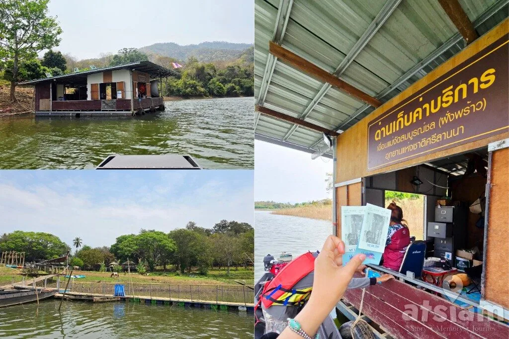 ต้นฉำฉายักษ์กลางน้ำ เขื่อนแม่งัด อ.พร้าว จ.เชียงใหม่ นั่งเรือถ่ายรูปอันซีนกลางน้ำ