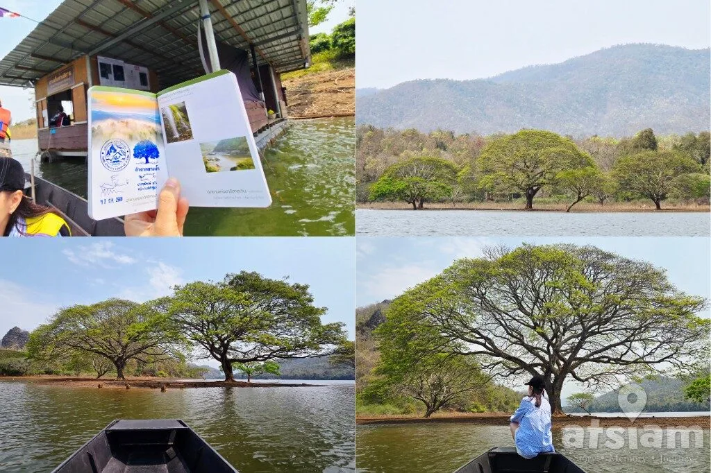 ต้นฉำฉายักษ์กลางน้ำ เขื่อนแม่งัด อ.พร้าว จ.เชียงใหม่ นั่งเรือถ่ายรูปอันซีนกลางน้ำ