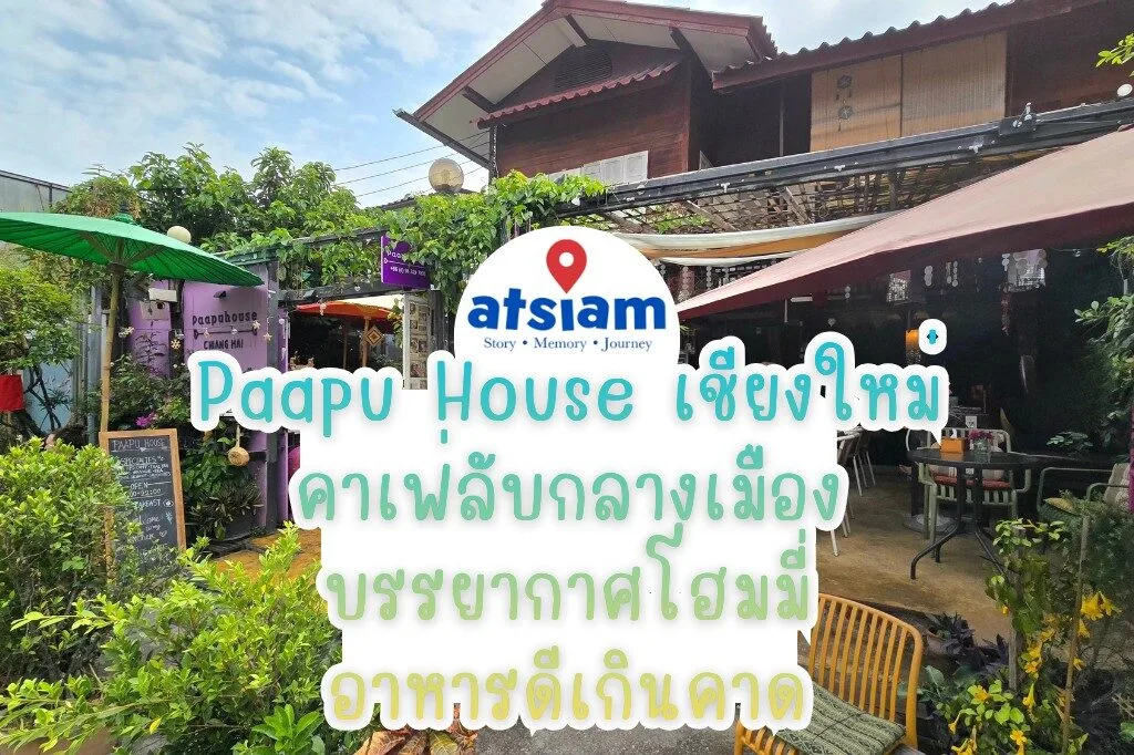 Paapu House เชียงใหม่ คาเฟ่ลับกลางเมือง บรรยากาศโฮมมี่ อาหารดีเกินคาด