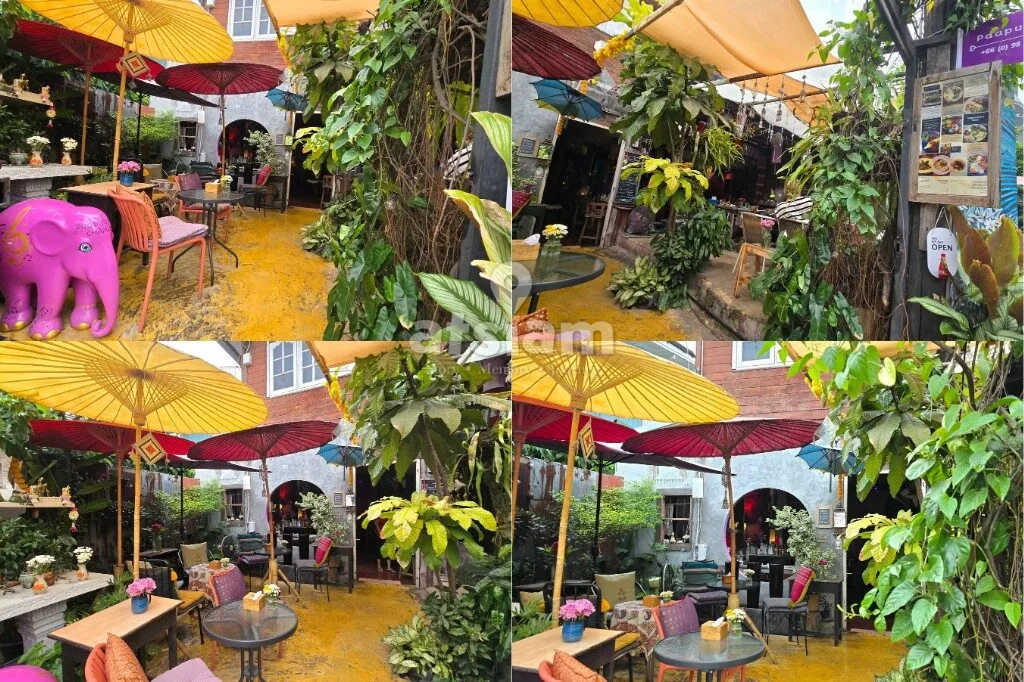 Paapu House เชียงใหม่ คาเฟ่ลับกลางเมือง บรรยากาศโฮมมี่ อาหารดีเกินคาด