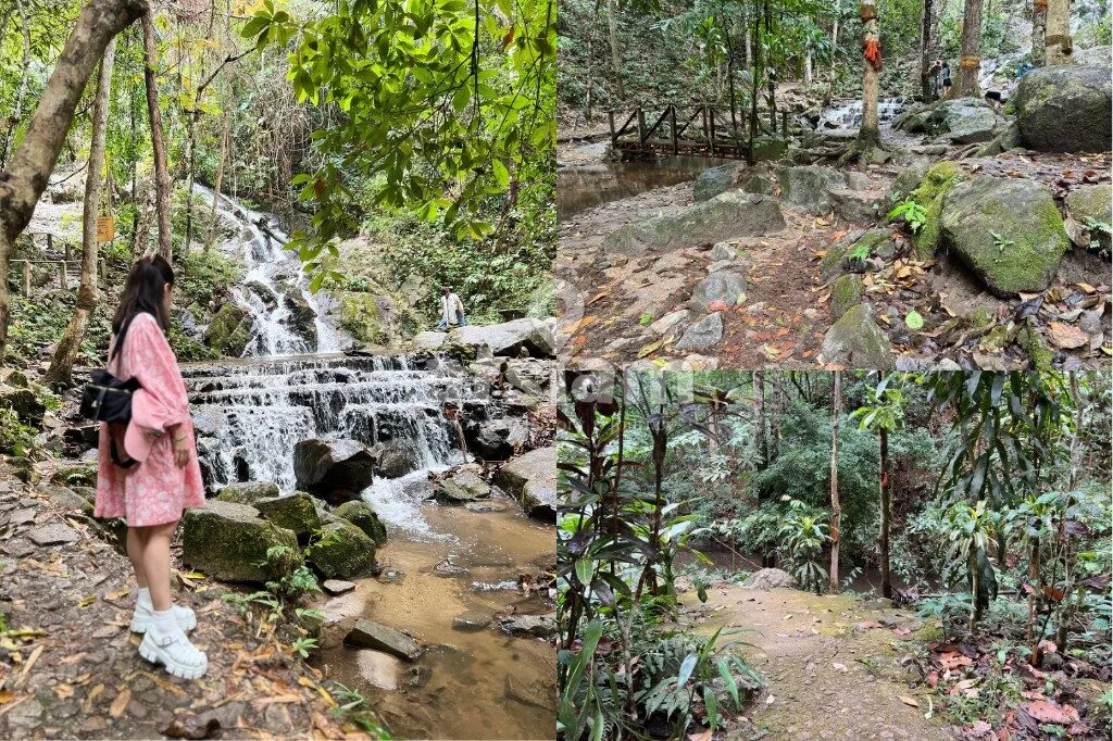 น้ำตกแม่กำปอง เชียงใหม่ เดินป่าฟังเสียงน้ำ สัมผัสธรรมชาติใกล้หมู่บ้านสุดสงบ