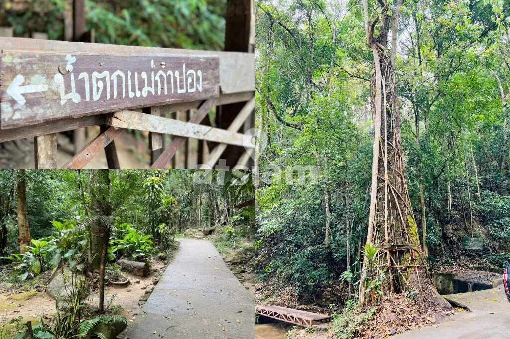 น้ำตกแม่กำปอง เชียงใหม่ เดินป่าฟังเสียงน้ำ สัมผัสธรรมชาติใกล้หมู่บ้านสุดสงบ