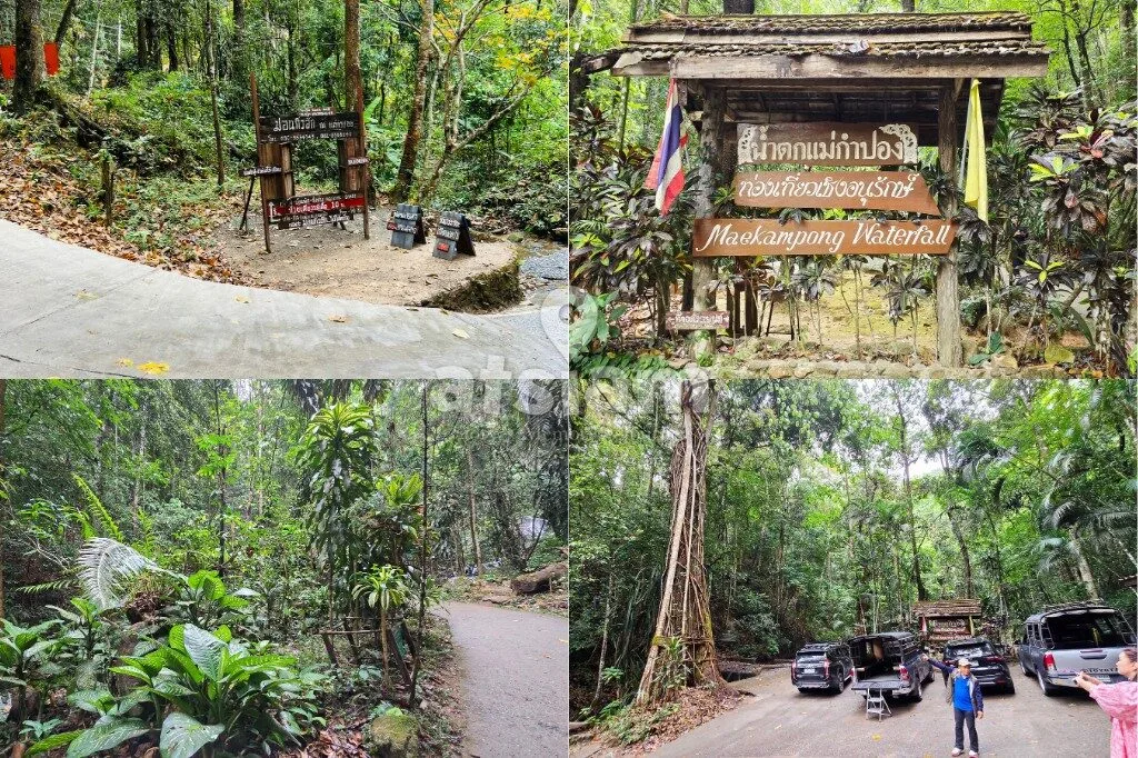 น้ำตกแม่กำปอง เชียงใหม่ เดินป่าฟังเสียงน้ำ สัมผัสธรรมชาติใกล้หมู่บ้านสุดสงบ