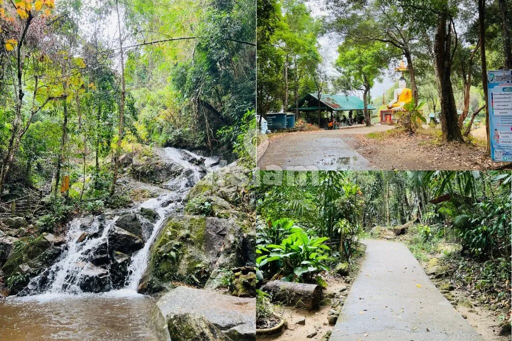 น้ำตกแม่กำปอง เชียงใหม่ เดินป่าฟังเสียงน้ำ สัมผัสธรรมชาติใกล้หมู่บ้านสุดสงบ