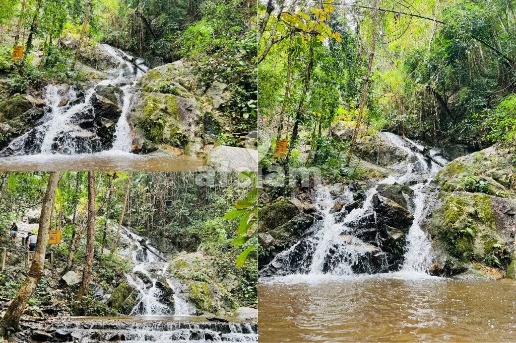 น้ำตกแม่กำปอง เชียงใหม่ เดินป่าฟังเสียงน้ำ สัมผัสธรรมชาติใกล้หมู่บ้านสุดสงบ