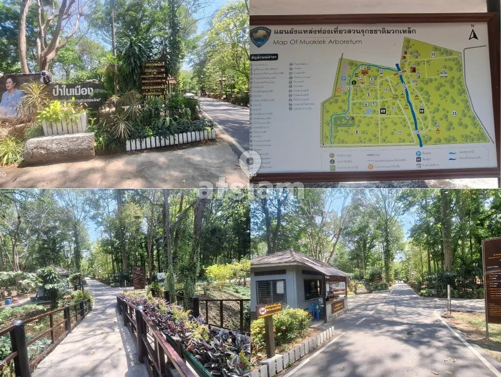 น้ำตกมวกเหล็ก จังหวัดสระบุรี - วิเคราะห์โมเดลสวนรุกขชาติและการจัดการพื้นที่นันทนาการทางน้ำอย่างยั่งยืน