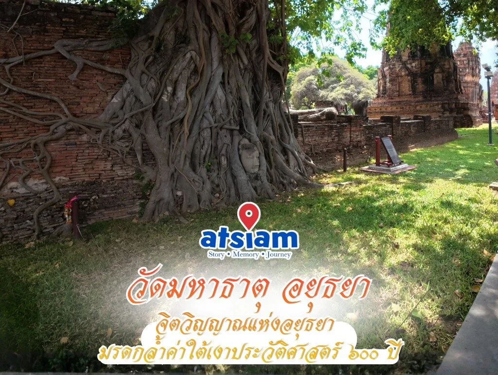 วัดมหาธาตุ อยุธยา - จิตวิญญาณแห่งอยุธยา มรดกล้ำค่าใต้เงาประวัติศาสตร์ 600 ปี