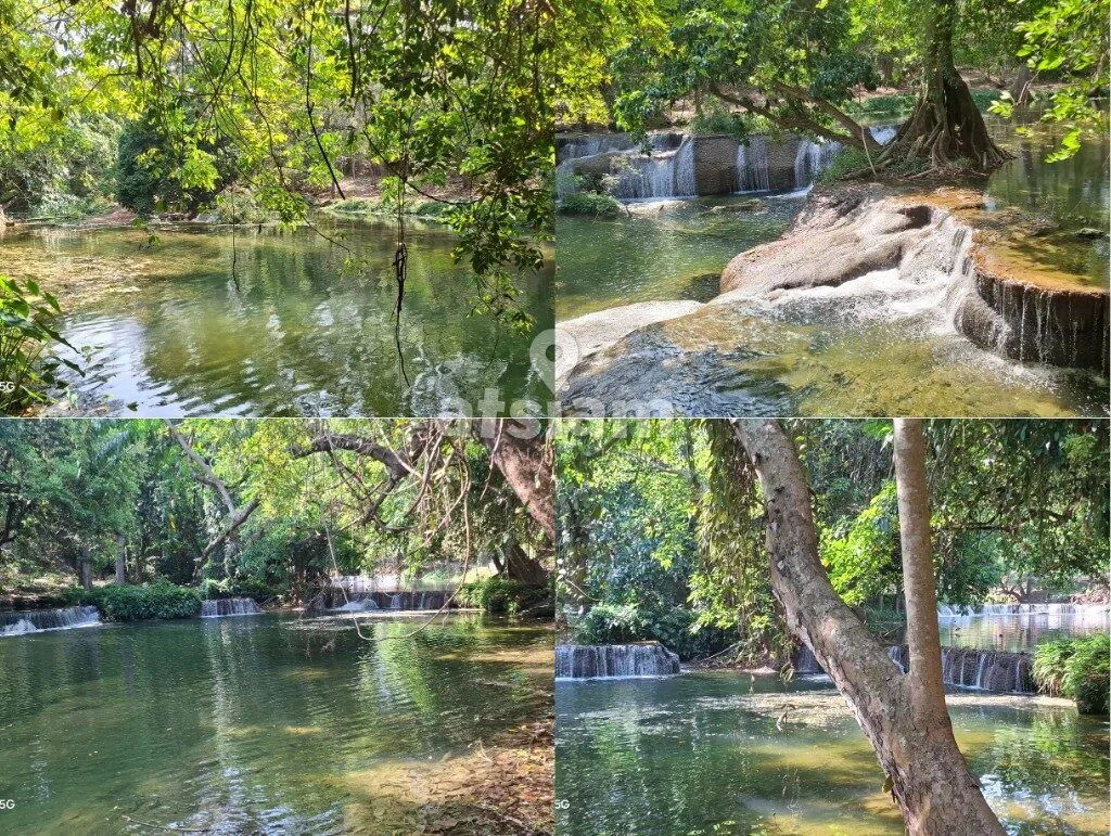 น้ำตกเจ็ดสาวน้อย จังหวัดสระบุรี — มรดกสีเขียวแห่งลุ่มน้ำป่าสัก สัมผัสวงจรชีวิตและระบบนิเวศป่าริมน้ำที่สมบูรณ์ที่สุด