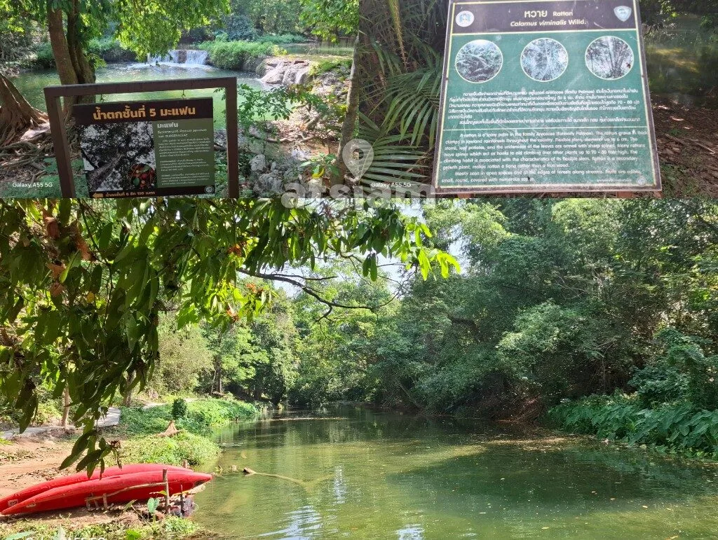 น้ำตกเจ็ดสาวน้อย จังหวัดสระบุรี — มรดกสีเขียวแห่งลุ่มน้ำป่าสัก สัมผัสวงจรชีวิตและระบบนิเวศป่าริมน้ำที่สมบูรณ์ที่สุด