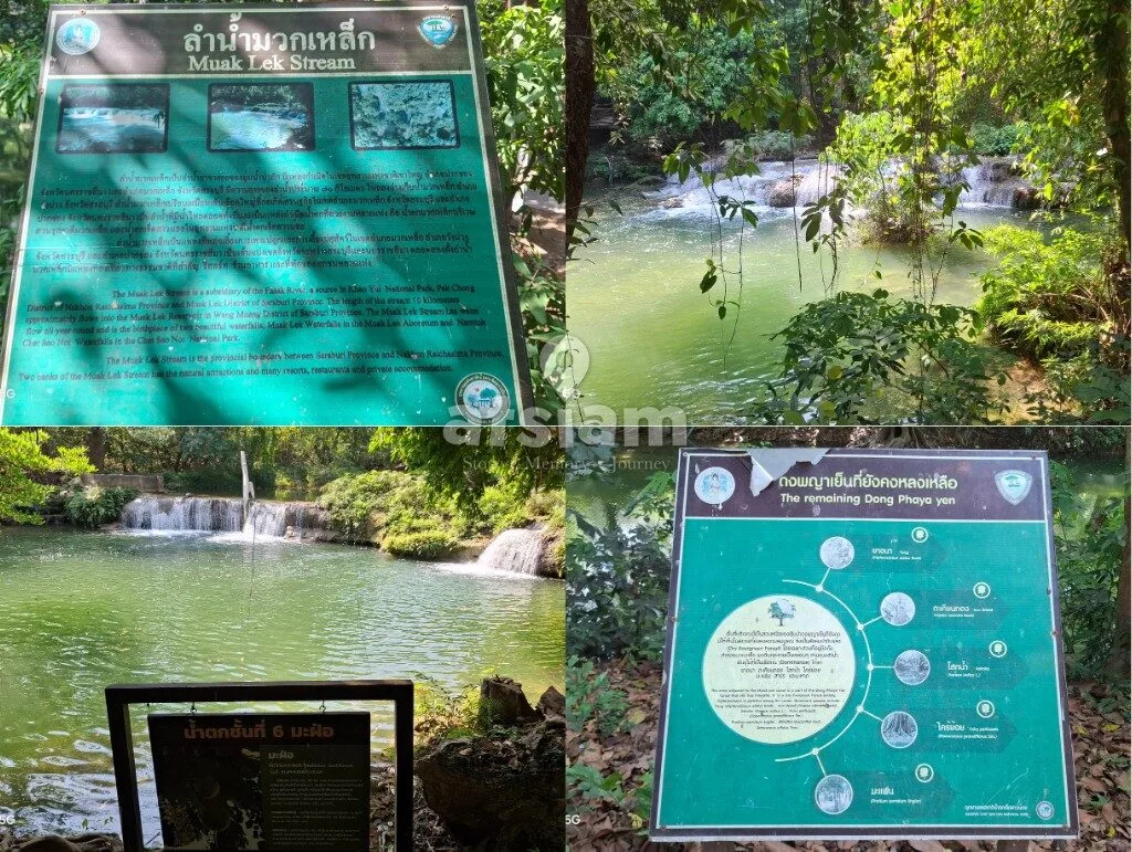 น้ำตกเจ็ดสาวน้อย จังหวัดสระบุรี — มรดกสีเขียวแห่งลุ่มน้ำป่าสัก สัมผัสวงจรชีวิตและระบบนิเวศป่าริมน้ำที่สมบูรณ์ที่สุด