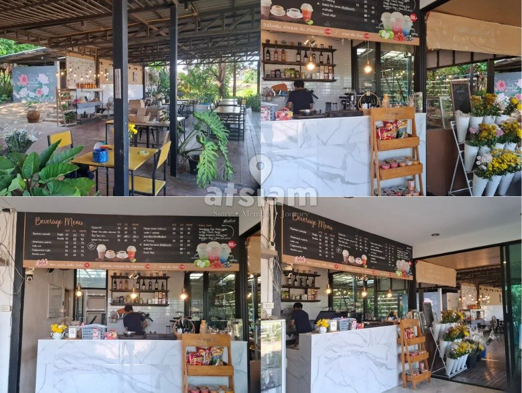 สวนบิ๊กเต้ จังหวัดสระบุรี — มากกว่าแค่ดอกไม้ แต่คืออาณาจักรเบญจมาศกว่า 30 สายพันธุ์ ที่เปลี่ยนมวกเหล็กให้เป็นทุ่งสีรุ้ง