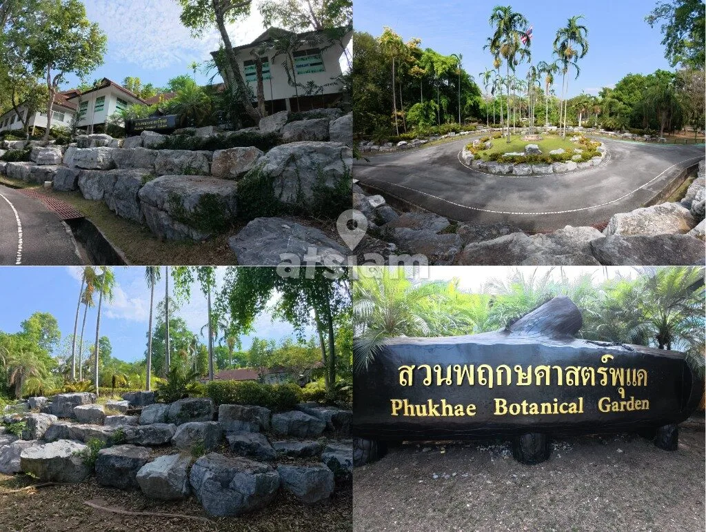 สวนพฤกษศาสตร์พุแค จังหวัดสระบุรี — ลมหายใจของสระบุรี พื้นที่อนุรักษ์ธรรมชาติที่หลอมรวมวิถีชีวิตคนเมืองเข้ากับผืนป่าอย่างกลมกลืน