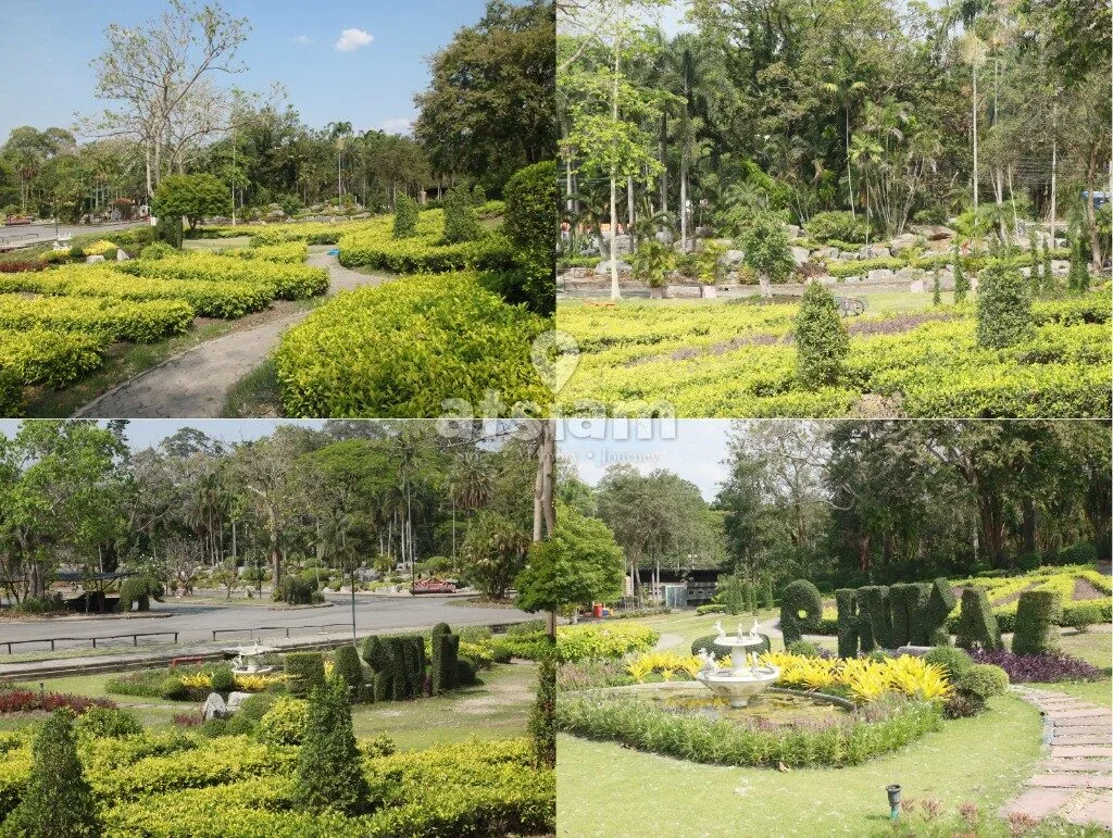 สวนพฤกษศาสตร์พุแค จังหวัดสระบุรี — ลมหายใจของสระบุรี พื้นที่อนุรักษ์ธรรมชาติที่หลอมรวมวิถีชีวิตคนเมืองเข้ากับผืนป่าอย่างกลมกลืน