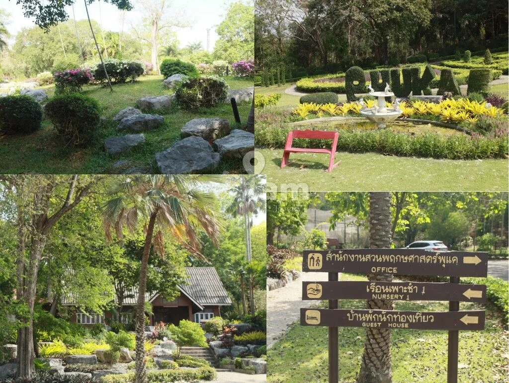 สวนพฤกษศาสตร์พุแค จังหวัดสระบุรี — ลมหายใจของสระบุรี พื้นที่อนุรักษ์ธรรมชาติที่หลอมรวมวิถีชีวิตคนเมืองเข้ากับผืนป่าอย่างกลมกลืน