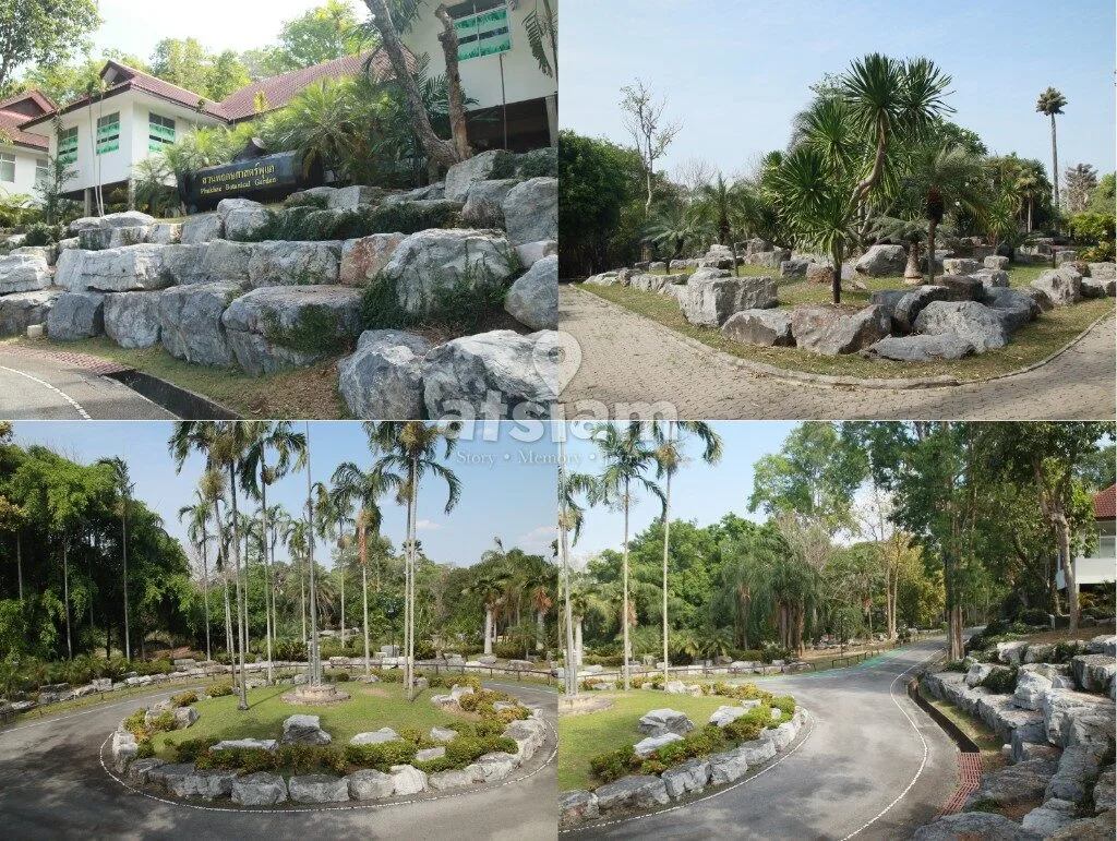 สวนพฤกษศาสตร์พุแค จังหวัดสระบุรี — ลมหายใจของสระบุรี พื้นที่อนุรักษ์ธรรมชาติที่หลอมรวมวิถีชีวิตคนเมืองเข้ากับผืนป่าอย่างกลมกลืน