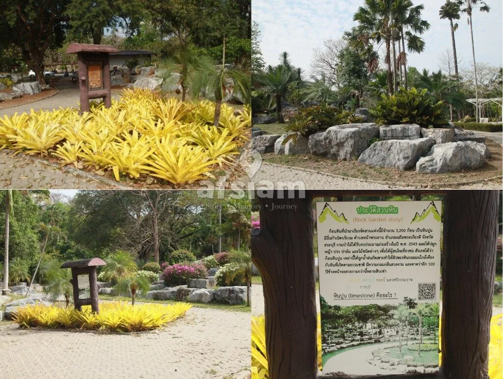 สวนพฤกษศาสตร์พุแค จังหวัดสระบุรี — ลมหายใจของสระบุรี พื้นที่อนุรักษ์ธรรมชาติที่หลอมรวมวิถีชีวิตคนเมืองเข้ากับผืนป่าอย่างกลมกลืน