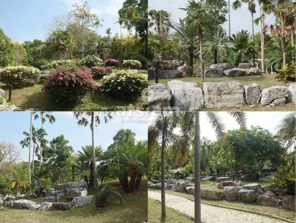 สวนพฤกษศาสตร์พุแค จังหวัดสระบุรี — ลมหายใจของสระบุรี พื้นที่อนุรักษ์ธรรมชาติที่หลอมรวมวิถีชีวิตคนเมืองเข้ากับผืนป่าอย่างกลมกลืน