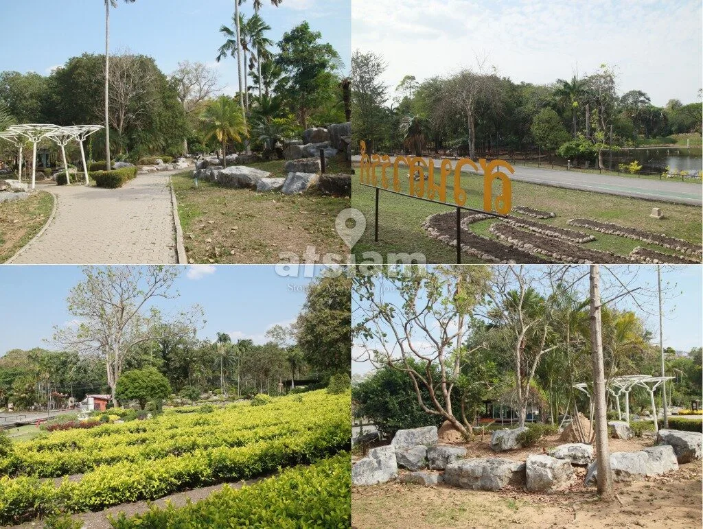 สวนพฤกษศาสตร์พุแค จังหวัดสระบุรี — ลมหายใจของสระบุรี พื้นที่อนุรักษ์ธรรมชาติที่หลอมรวมวิถีชีวิตคนเมืองเข้ากับผืนป่าอย่างกลมกลืน