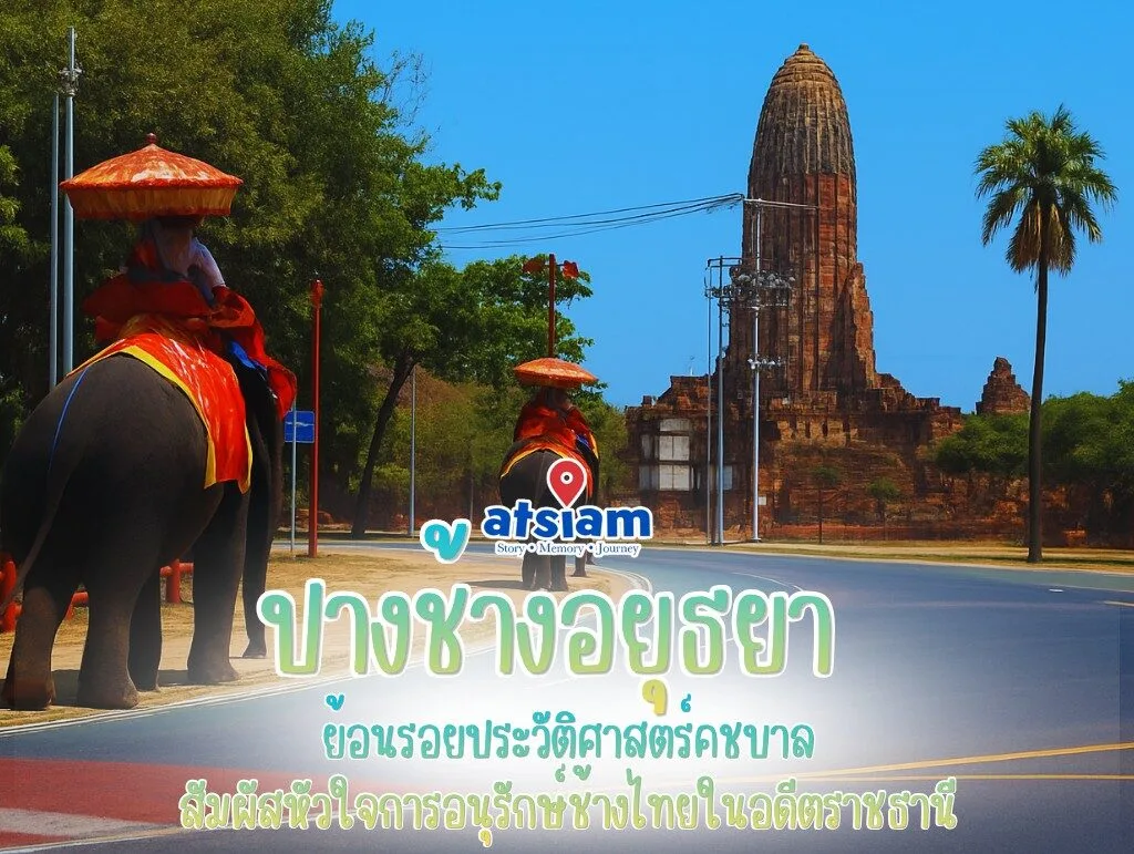ปางช้างอยุธยา จังหวัดพระนครศรีอยุธยา — ย้อนรอยประวัติศาสตร์คชบาล สัมผัสหัวใจการอนุรักษ์ช้างไทยในอดีตราชธานี