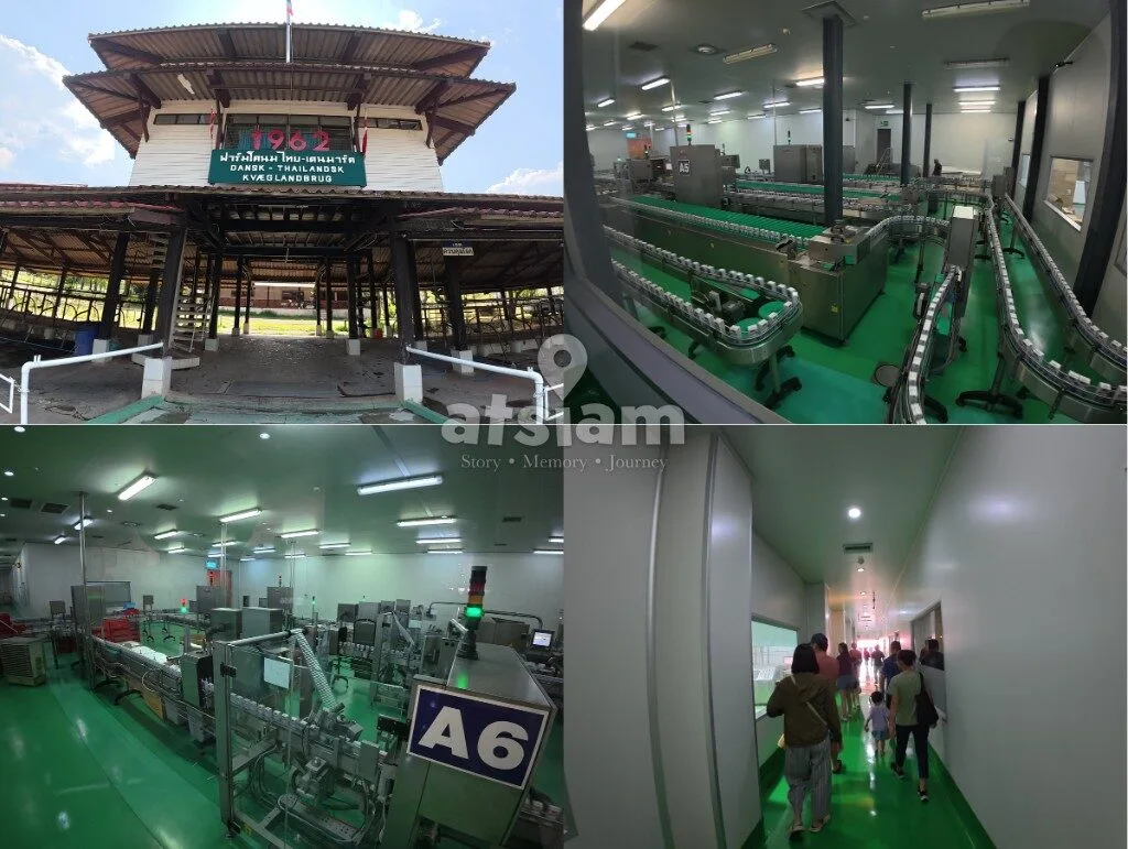 ฟาร์มโคนมไทย-เดนมาร์ก จังหวัดสระบุรี - ถอดรหัสสายสัมพันธ์ทางการทูตและหมุดหมายทางประวัติศาสตร์เศรษฐกิจระหว่างไทย-เดนมาร์ก