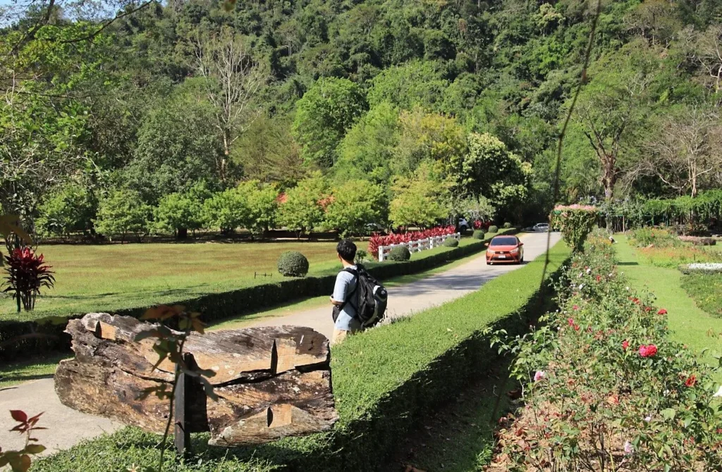 สวนดอกไม้และสนามหญ้าภายในอุทยานวังตะไคร้ จังหวัดนครนายก ท่ามกลางภูเขาและธรรมชาติสีเขียว