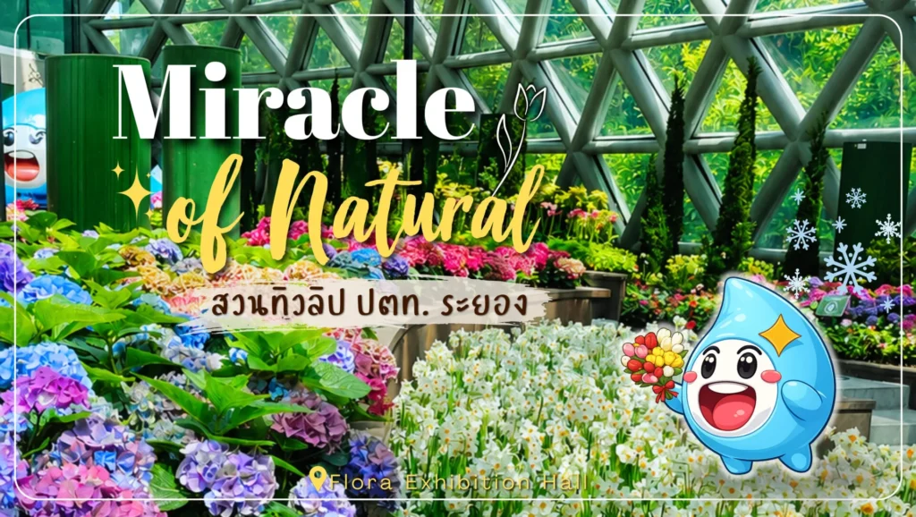 ภาพ สวนทิวลิป ปตท. ระยอง